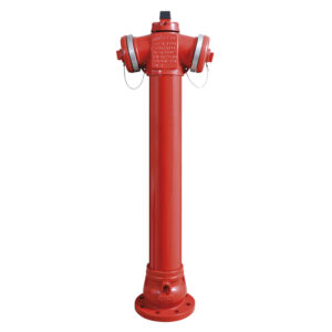 HIDRANT SUPRAFATA VALWater PN10/PN16 DN100 STANDARD Hinghet=1250 - VALROM - Image 1