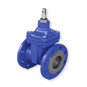 VANA SERTAR VALVacuum CU PANA CAUCIUCATA PENTRU APE UZATE DN 80 PN10/PN16 - VALROM - imagine 1